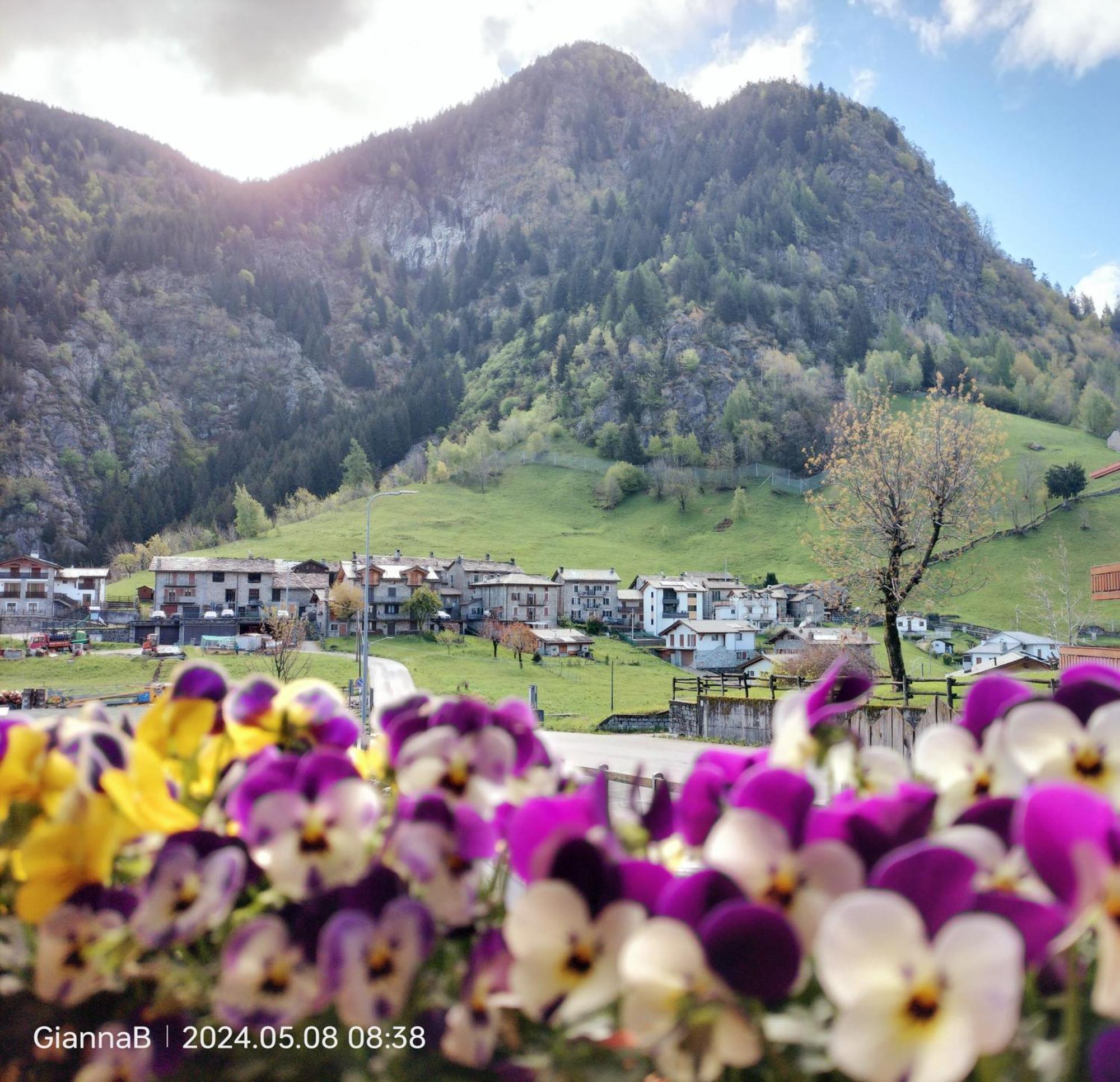 Beb Aria Di Montagna Bed & Breakfast Forcola Room photo